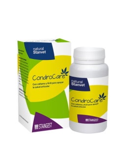 STANGEST CONDROCARE APOYA...