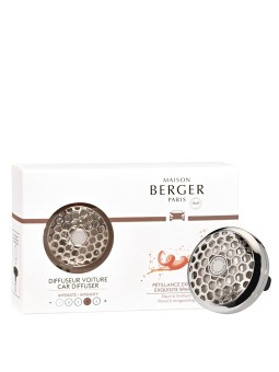 BERGER DIFFUSEUR VOITURE...
